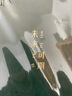 法拉蒙 A4大本子超加厚B5筆記本子文具a5軟皮面商務(wù)記事本大學(xué)生考研用本辦公工作會(huì )議記錄本定制 A4超厚416頁(yè)-墨綠-未來(lái)可期-橫線(xiàn) 曬單實(shí)拍圖