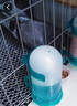 裳淇鴿子飲水器自動(dòng)喂水水壺信鴿用品用具鸚鵡喂食器鳥(niǎo)用食盒食槽 800+1000毫升組合(帶卡扣) 曬單實(shí)拍圖