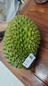 貓山王榴蓮整果D197 液氮冷凍鎖鮮 口感更細膩 超高性?xún)r(jià)比 保3房4.5-4.99斤/個(gè) 曬單實(shí)拍圖