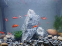 魚之寶（Fish treasure）魚缸水族箱金魚缸生態(tài)魚缸過濾器玻璃魚缸懶人家用客廳彩燈魚缸 【熱彎】M660 曬單實拍圖