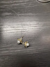 晚瑤復古珍珠耳釘女高級感氣質(zhì)耳環(huán)2025年新款潮銀針輕奢網(wǎng)紅爆款耳飾 花朵珍珠耳釘 曬單實(shí)拍圖
