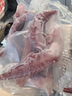 特大魷魚須新鮮速凍脆口魷魚須非章魚足超大冷凍生鮮水產(chǎn)商用批發(fā) 【超大號(hào)】1斤 500g(凈重) 曬單實(shí)拍圖