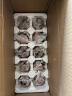 乡野人家麻酱鸡蛋 天津蓟州特产咸淡适中五香熟食麻将鸡蛋真空包装10-40枚 20枚麻酱鸡蛋真空装( 95%选择 ) 实拍图