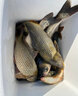 谷蜀香超強(qiáng)誘魚(yú)粉野釣黑坑千米聚魚(yú)主攻鯽鯉青餌料添加劑爆護(hù)信息素神器 一瓶裝 曬單實(shí)拍圖