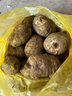 昭通天麻;ZHAOTONG RHIZOMA GASTRODIAE天麻 云南昭通新鮮天麻 小草壩深山老林烏天麻 滋補(bǔ)食材 非 黃金 特大果（3-4個(gè)每斤） 1斤試吃 曬單實(shí)拍圖