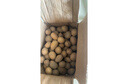 牛愛鮮 黃心土豆新鮮洋芋馬鈴薯黃皮應季蔬菜整箱優(yōu)質土豆現(xiàn)摘美味蔬菜 10斤精選裝【現(xiàn)挖現(xiàn)發(fā)】凈重9斤 農家現(xiàn)挖蔬菜 曬單實拍圖