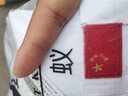 兒童長(cháng)袖白襯衣中大童全棉演出服新品打底衫2020功夫螞蟻男孩純色上衣男童正裝純棉襯衫 白色 150 曬單實(shí)拍圖