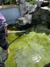 全福鯉戶外魚池過濾器水循環(huán)系統(tǒng)養(yǎng)錦鯉魚池凈水過濾設(shè)備斜坡排污 QXP-5200套餐適用0-5噸水包含水泵水管 曬單實拍圖