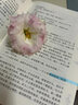 一句頂一萬句 花城出版社 劉震云 著 新華正版書籍包郵 曬單實(shí)拍圖