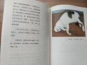 龍仔尾·貓：見(jiàn)山見(jiàn)海見(jiàn)自己  【贈精美手繪海報、蔣勛書(shū)法書(shū)簽】 曬單實(shí)拍圖