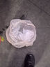 榮郁優(yōu)質(zhì)鱸魚(yú)苗加州鱸魚(yú)苗路亞苗大口黑鱸魚(yú)苗冷水淡水養殖魚(yú)苗 鱸魚(yú)苗2-4厘米100條送20%防損 曬單實(shí)拍圖