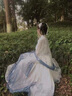 佰惠子漢服女成人仙氣飄逸古風(fēng)齊腰襦裙齊胸廣袖流仙裙?jié)h元素古裝夏 【摘星】齊腰襦裙全套3米擺 M 曬單實拍圖