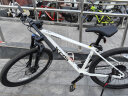 喜德盛（xds）山地车自行车24款传奇500 成人越野变速车 幻影/白 20速 17 实拍图
