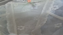 瑤瑤閨蜜私房純欲蕾絲內褲女性感低腰提臀純棉襠三角褲頭舒適透氣少女夏季 甜欲組合四條裝 M碼 推薦80-100斤 曬單實拍圖