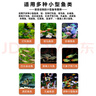 佩尼森魚(yú)食黑尾大勾魚(yú)專(zhuān)用飼料紅鼻子剪刀一眉道人魚(yú)孔雀魚(yú)小型觀(guān)賞魚(yú)糧 【增體增艷】0.6mm/600ml/230g 曬單實(shí)拍圖