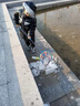 Tuban撈魚網(wǎng)兜漁網(wǎng)兒童撈小魚捕魚抄網(wǎng)可伸縮便攜碳素桿超輕超密撈網(wǎng) 碳素兒童抄網(wǎng)+折疊水桶卡其 曬單實拍圖