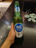 崂山啤酒（laoshan beer）经典系列 316ml*24瓶 青岛崂山啤酒 传统工艺酿造精品 316mL 24瓶 整箱装 晒单实拍图