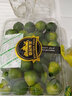 攸竹 海南青檸檬無(wú)籽香水檸檬當季新鮮黃檸檬水果皮薄多汁精品大果 【青金桔】 2斤 曬單實(shí)拍圖