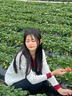 矜持范針織衫女春秋上衣設(shè)計(jì)感小眾2025年新款娃娃領(lǐng)撞色小個(gè)子短款開(kāi)衫 白色 均碼 曬單實(shí)拍圖