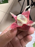 裕農叔黑老虎布福娜水果【順豐JD現貨速發(fā)】湖南惡魔果實(shí)稀有罕見(jiàn)血藤果 凈重2500g 曬單實(shí)拍圖