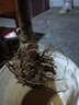 葉之靜 嫁接蘋(píng)果苗 冰糖心蘋(píng)果樹(shù)苗庭院種植盆栽蘋(píng)果苗當(dāng)年結(jié)果 黃元帥4年苗 70cm(含)-89cm(含) 曬單實(shí)拍圖