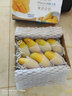 甘賢（GANXIAN）海南金煌芒（順豐可送到家）現摘新鮮大芒果 核薄肉厚青黃皮芒果 8斤保溫裝（泡沫箱+保溫袋） 曬單實(shí)拍圖