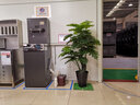仿真綠植客廳室內裝飾大型假植物盆栽發(fā)財樹(shù)落地幸福樹(shù)防真花盆景 1.5米福星高照贈盆+草 曬單實(shí)拍圖