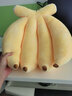 優(yōu)羽水果香蕉抱枕靠墊創(chuàng  )意抱枕可愛(ài)毛絨玩具送女朋友生日禮物 黃色香蕉 35厘米 曬單實(shí)拍圖