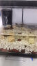 派乐特 细菌屋益菌屋鱼缸过滤材料水族箱养鱼净水培养硝化菌配件用品 实拍图