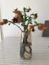 微阳（We Young）北欧式简约玻璃花瓶客厅透明干花绿萝插花器现代摆件餐桌创意装饰 琥珀（水滴款） 实拍图