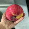 洛川蘋果（luochuanapple）【順豐】陜西延安紅富士蘋果洛川蘋果產(chǎn)地直發(fā)脆甜多汁能帶皮吃 18枚90mm 大果顆顆心選 永遠(yuǎn)18歲 曬單實(shí)拍圖