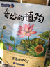 奇妙的科學(xué) 十萬(wàn)個(gè)為什么兒童版 全套10冊(cè)兒童繪本書籍海底世界植物動(dòng)物昆蟲  科普百科圖畫故事書 奇妙的科學(xué)（全10冊(cè)） 曬單實(shí)拍圖