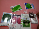 壽禾 四季小白菜種子青菜蔬菜種孑蔬菜種籽秋冬季四季播種壽光菜籽 壽禾小白菜種子10g 曬單實(shí)拍圖