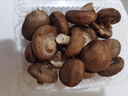 海篁山【有機香菇】有機新鮮香菇 現采新鮮蘑菇食用菌 提鮮增味有機食材 有機鮮菌菇組合475g 曬單實(shí)拍圖
