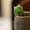 佳能 Canon EF85mm1.2 35mm 85mm1.4  50mm1.2人像定焦鏡頭二手鏡頭 佳能EF 50mm f/1.2L USM 準(zhǔn)新鏡頭 曬單實(shí)拍圖