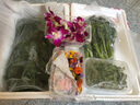 威廉農(nóng)場(chǎng)迷你西蘭花 蘭花苔 蔬菜新鮮 Broccolini 500g 500g 曬單實(shí)拍圖