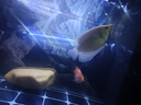 Atman魚(yú)缸加熱棒hch系列出口版魚(yú)缸加熱棒加熱管自動(dòng)恒溫防爆加溫棒 創(chuàng)星HCH300w+溫度計(jì) 出口版 曬單實(shí)拍圖
