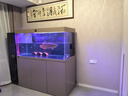 德克（D&A）龍魚魚缸一體缸自循環(huán)懶人免換水客廳底濾智能生態(tài)缸辦公室水族箱 星空銀（專業(yè)款） 153x60x161cm 曬單實拍圖