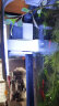 森森 壁挂式过滤器XBA200瀑布过滤三合一过滤水泵鱼缸壁挂过滤器 实拍图