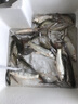漁顛肽甜香誘食劑野釣黑坑制作窩料酒米谷麥玉米魚(yú)餌魚(yú)食餌料強效誘魚(yú) 10袋價(jià)【發(fā)11袋】 曬單實(shí)拍圖