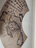 歷代名畫解讀 康熙原版芥子園畫傳·草蟲花卉譜（上、下冊） 曬單實拍圖