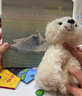 【3-4周達(dá)】Little Polar Bear Board Book, Volume 13 曬單實(shí)拍圖