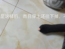 莫代爾春秋中厚絲襪女連褲襪加絨加厚打底褲防勾絲肉色大碼踩腳秋冬絲襪 黑色連腳[裝] 2條 均碼 160g[加薄絨]75-140斤 曬單實拍圖