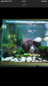 森森（SUNSUN）鱼缸超白玻璃金鱼缸客厅桌面家用水族箱带鱼缸灯增氧水泵 38cm长智能高档鱼缸 内置棉和滤材 实拍图