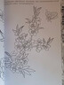美術(shù)入門(mén)：白描起步 曬單實(shí)拍圖