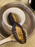 祥潮灣韓國(guó)進(jìn)口野生鮮凍即食海參 M 500g（8-12頭） 曬單實(shí)拍圖