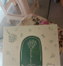 马克图布 小王子加湿器卧室办公室桌面小型迷你生日礼物送实用创意礼物 绿色 实拍图