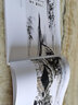 中國畫(huà)經(jīng)典教學(xué)叢書(shū)——玩石畫(huà)法 伍小東 著(zhù) 廣西美術(shù)出版社 曬單實(shí)拍圖
