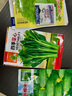 播種心情五角星花種子爬藤爬墻花卉種籽夏季陽(yáng)臺盆栽室外庭院 羽葉蔦蘿混色500粒 曬單實(shí)拍圖