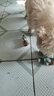 涵瑤伊笑寵物狗狗鞋子小型犬比熊泰迪鞋子四季網(wǎng)鞋博美臘腸犬雪納瑞狗鞋 迷彩綠 3碼8-11斤 曬單實拍圖